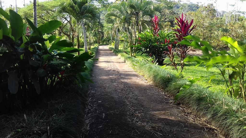 Cerro Chato Ecolodge La Fortuna Exterior photo