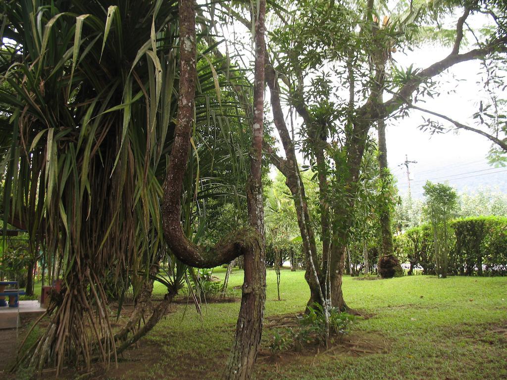 Cerro Chato Ecolodge La Fortuna Exterior photo