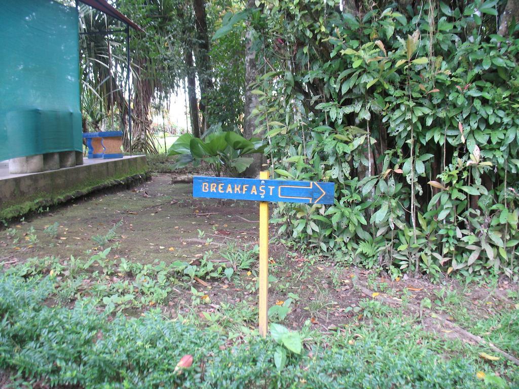 Cerro Chato Ecolodge La Fortuna Exterior photo